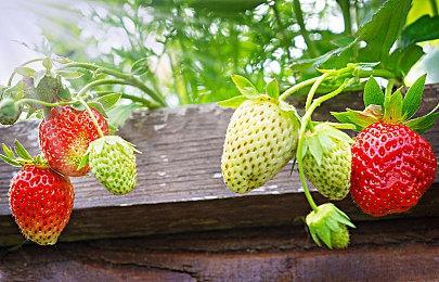 《前线任务2：重制版》4月30日登陆PC＆Xbox＆PS